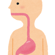 gastroesophagus.png