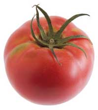 tomato2.jpg