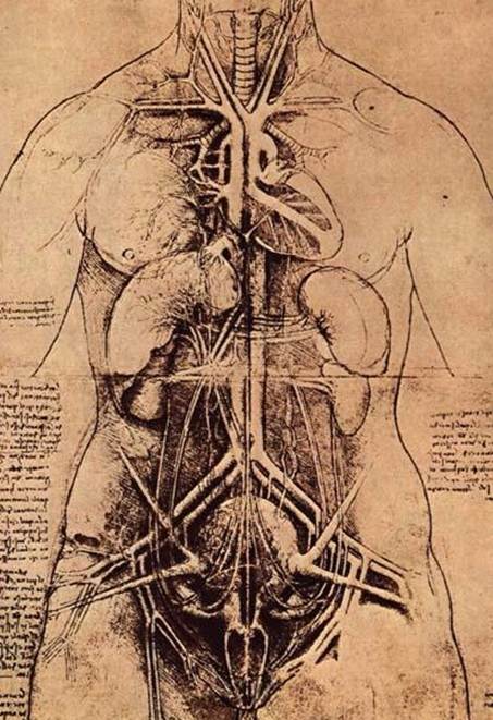 医療の歴史 (7) レオナルド・ダ・ヴィンチと解剖図 - 医療あれこれ